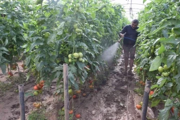 Kumluca’da çamur içinde üretim
