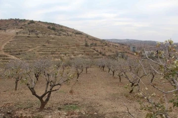 Kuraklık baş gösterdi, çiftçilere yağmur duasına çıkın çağrısı
