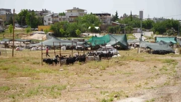 Kurban kesim ve satış alanları belirlendi
