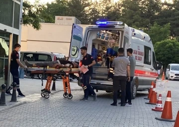 Kurbanlık koyunu yakalamak isterken düştü, hastanelik oldu
