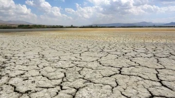 Kuş cenneti Erçek Gölü’nün kıyı şeridi buhar oldu
