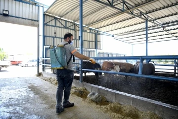 Kuşadasi’nda sivrisinek ve haşerelere karşı düzenli ilaçlama sürüyor
