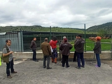 Kütahya Belediyesi Sokak Hayvanları Bakım Evi denetlendi
