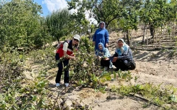 Ahududu üreticisi kadınlar Bursa Tarım İşletmesinde