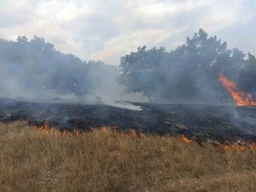 Kütahya’da arazi yangını
