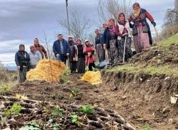 Kütahya’da gıda ormanı çalışması
