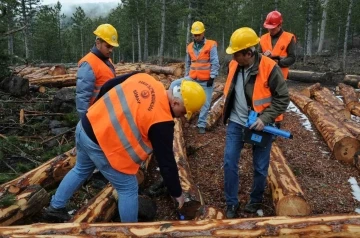 Kütahya OBM’de barkodlu orman emvalleri ihalede
