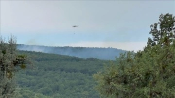 Kütahya'daki orman yangını, ekiplerin müdahalesiyle kontrol altına alındı.