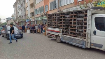 Kuyruğun sebebini duyan şaştı kaldı
