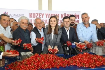 Kuzey yarımkürenin ilk kirazının hasat edildiği Manisa’da üretici umutlu
