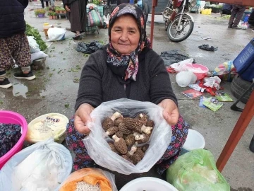 Kuzu göbeği mantarı altın ile yarışıyor
