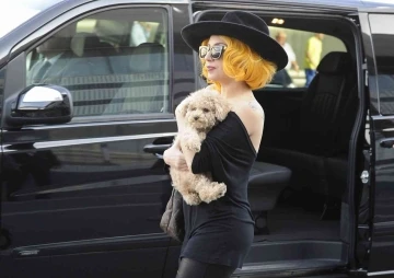 Lady Gaga’nın köpeklerini kaçıran saldırgana 21 yıl hapis cezası
