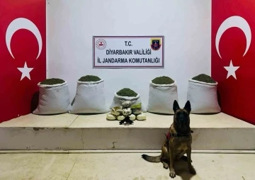 Lice’de 91 kilo esrar ele geçirildi
