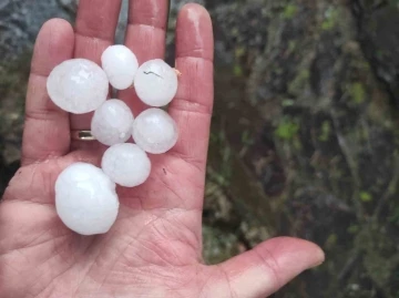 Malatya’da ceviz büyüklüğünde dolu yağdı
