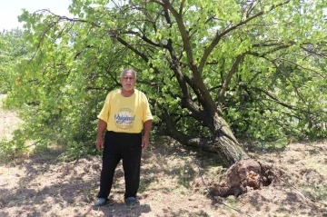 Malatya’da kayısı hasadı için gün sayan çiftçilere fırtına şoku
