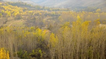 Malatya'nın Yeşilyurt ilçesinde sonbahar renkleri hakim oldu