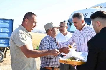 Mamak’ta yapılan hasat çiftçiyi mutlu etti
