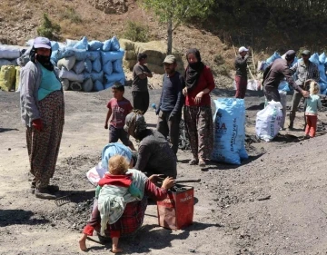 Mangal kömürü üretmek için gece gündüz mesai yapıyorlar
