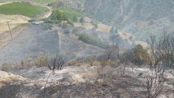 Manisa’da anız yangını makilik alana sıçradı
