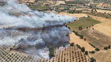 Ekin tarlasında yangın: 35 dönüm kül oldu