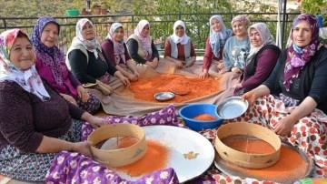 Manisa Demirci'nin "şifalı tarhanası" imeceyle hazırlanıyor