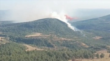 Manisa Soma'da çıkan orman yangınına müdahale ediliyor