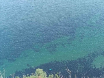 Manzara keyfi pahalıya mal oldu: Aracı uçurumdan aşağı yuvarlandı
