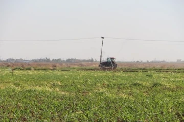 Mardin’de ikinci ürün olan mısır bir ay gecikmeli ekildi
