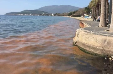 Marmara Denizi ölmek üzere 