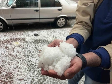 Mayıs ayında yağan dolu üreticiyi vurdu