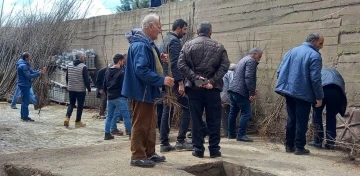 Memleketine her yıl binlerce fidan gönderiyor
