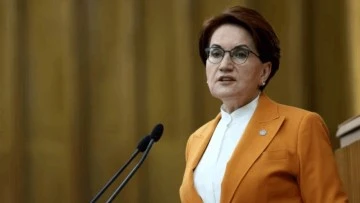 Meral Akşener'den Sinan Ateş açıklaması 