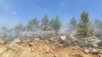 Mersin’de 4 ayrı noktada çıkan orman yangınları söndürüldü
