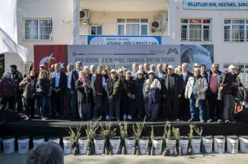 Mersin’de çiftçiye zeytin fidanı ve organik sıvı gübre desteği
