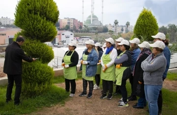 Mersin’de kadınlara uygulamalı budama eğitimi
