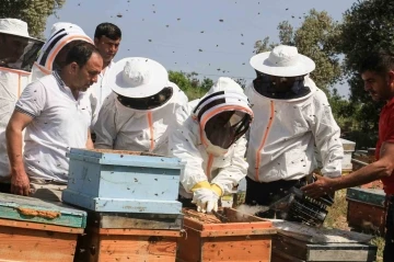 Mersin’de ’Narenciye Balı Hasat Şenliği’ düzenlendi
