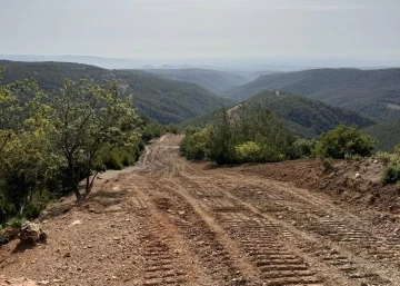 Mersin’de yangın emniyet şeritlerinin bakımı yapıldı
