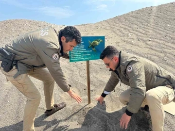 Mersin polisi caretta carettaların üreme alanlarına uyarı levhaları astı
