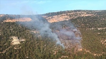 Mersin'de orman yangını çıktı