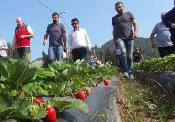 Meslek Liselilerden tarımsal üretime destek
