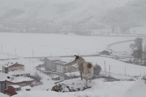 Meteoroloji’den Bayburt için kar yağışı uyarısı
