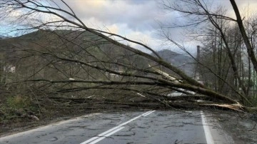 Meteorolojiden dört bölge için fırtına uyarısı