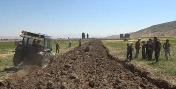 Meyan kökü bölgenin geçim kaynağı oldu
