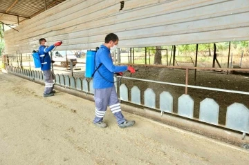 Meyve ihracatının düşmanı Akdeniz Meyve Sineği ile topyekun mücadele
