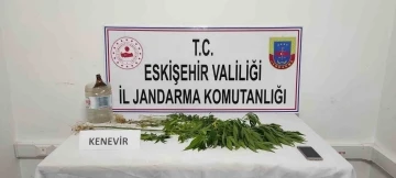 Mezarlığa kenevir eken şahıs yakayı ele verdi
