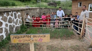 Mezradaki okulun çevresini kuş yuvaları ve çiçekliklerle donattılar