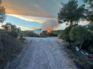 Milas’taki orman yangını söndürüldü