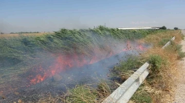 Mısır tarlasındaki yangın büyümeden söndürüldü
