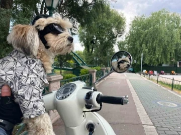 Motosiklet tutkunu ’Papi’ herkesin ilgi odağı oldu
