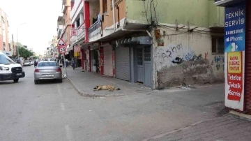 Motosikletli polis aracına çarptı, sürücünün havalanıp düşme anı kameraya yansıdı
